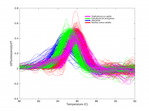 Típicas curvas de pérdida de fluorescencia adquiridas de un chip en el cual se incluyó el ADN de 5 tipos de bacteria conocidos. Cada color representa a un patógeno distinto. Crédito: Hannah Mack.