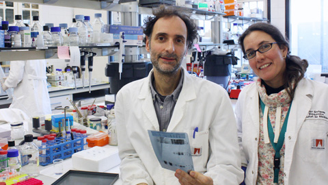 Los investigadores Carlos Saura y Lilian Enríquez en su laboratorio. (Autores: Arnaldo Parra i Carlos Saura)